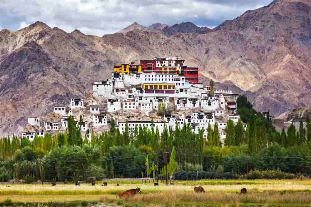 "Thiksey Monastery in Leh: Majestic Buddhist monastery showcasing stunning architecture and spiritual tranquility."