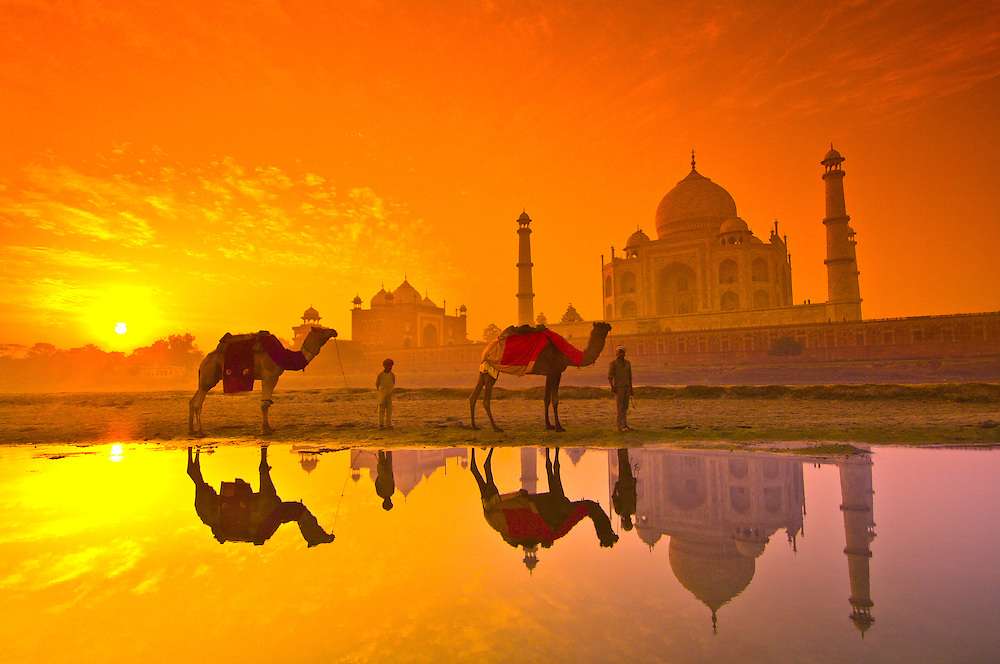 "Two camels standing in front of the iconic Taj Mahal monument"