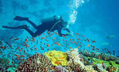 andaman honeymoon packages