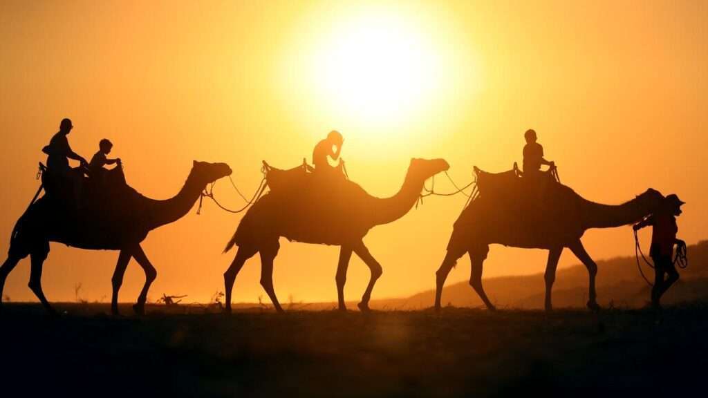 "Alt text: Camel rides in the desert - A thrilling adventure amidst golden sand dunes, as visitors enjoy traditional camel rides, immersing themselves in the serene beauty of the desert landscape."