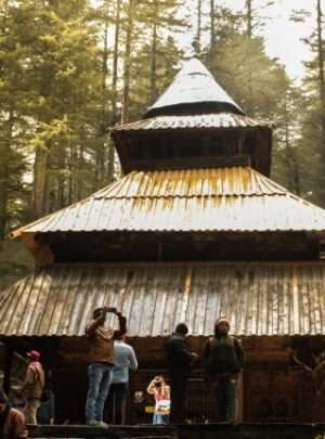 "A traveler standing amidst the lush greenery and ancient stone walls of Hadimba Devi Temple in Manali, India"