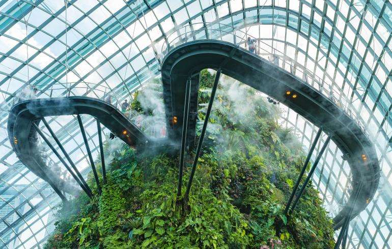 "Visitors on Cloud Forest bridges surrounded by clouds and lush greenery plants."